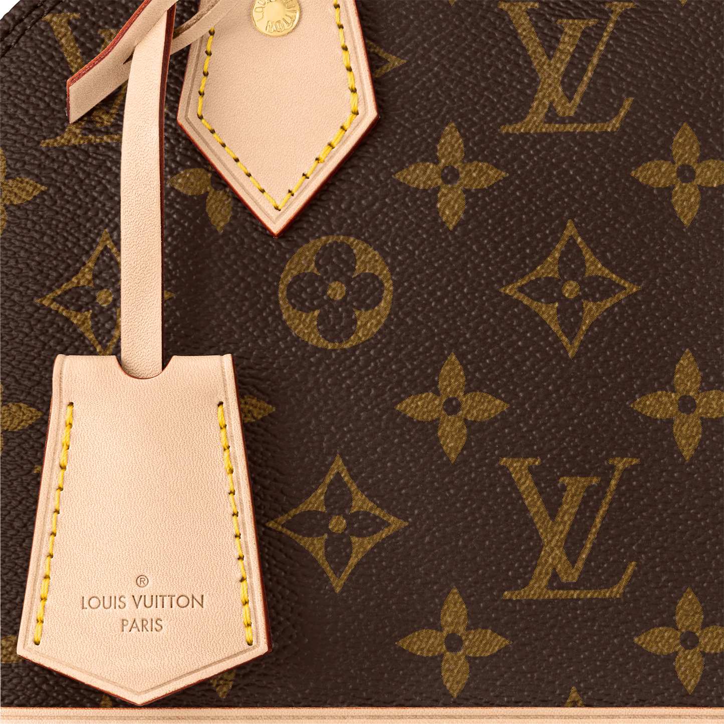 Sac Louis Vuitton
